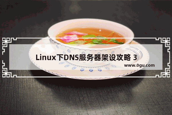 Linux下DNS服务器架设攻略 3