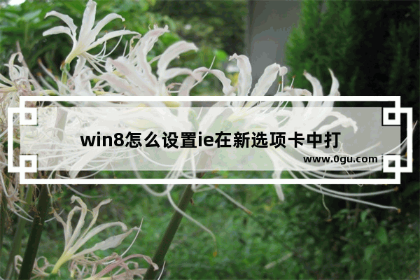 win8怎么设置ie在新选项卡中打