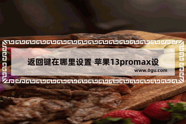 返回键在哪里设置 苹果13promax设置返回键方法