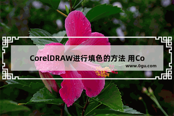 CorelDRAW进行填色的方法 用CorelDRAW2019填充颜色怎么做