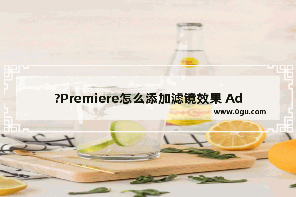 ?Premiere怎么添加滤镜效果 Adobe premiere添加滤镜的方法教程