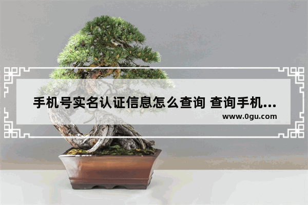 手机号实名认证信息怎么查询 查询手机号实名认证信息的步骤