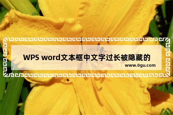 WPS word文本框中文字过长被隐藏的解决方法 WPS word文本框中文字过长被隐藏怎么解决