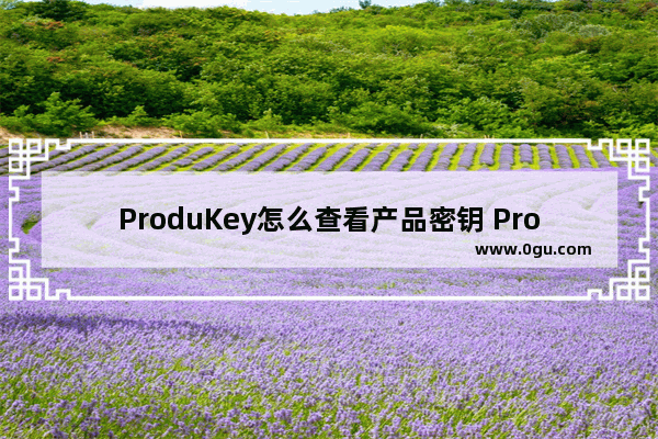 ProduKey怎么查看产品密钥 ProduKey的使用方法