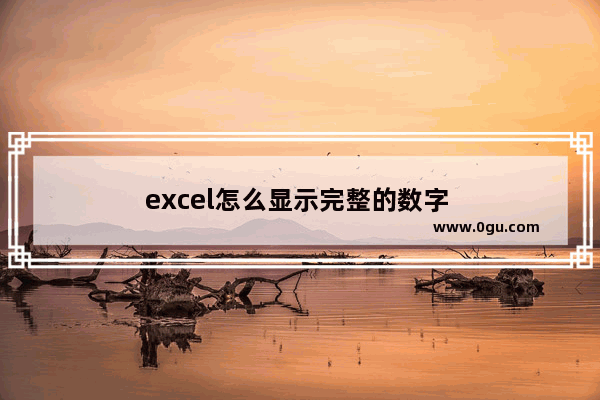 excel怎么显示完整的数字 