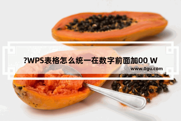 ?WPS表格怎么统一在数字前面加00 WPS Excel电脑版统一在数字签名加00的方法教程