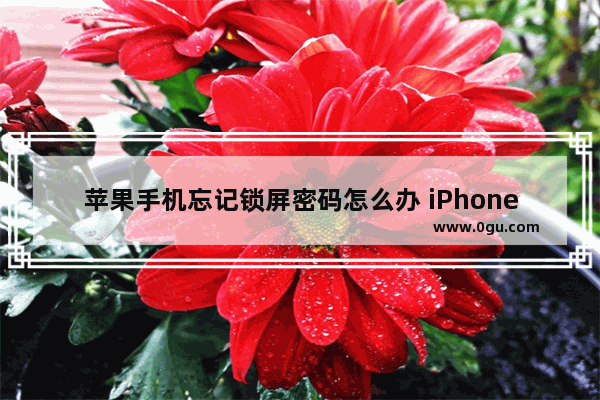 苹果手机忘记锁屏密码怎么办 iPhone忘记锁屏密码的解决方法