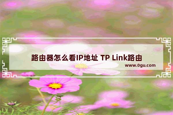 路由器怎么看IP地址 TP Link路由器查看IP地址的方法图解