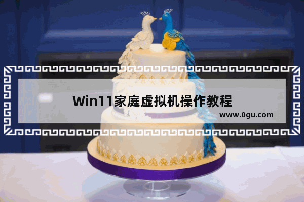 Win11家庭虚拟机操作教程