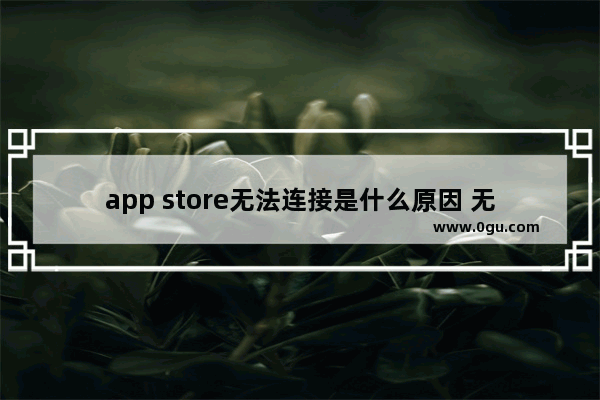 app store无法连接是什么原因 无法连接苹果app store处理方法