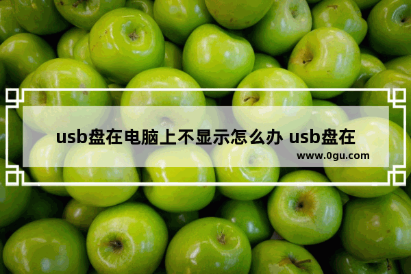 usb盘在电脑上不显示怎么办 usb盘在电脑上不显示怎么办视频