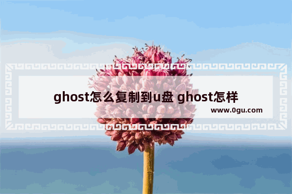 ghost怎么复制到u盘 ghost怎样拷贝整个硬盘