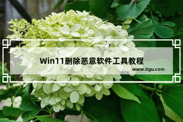 Win11删除恶意软件工具教程