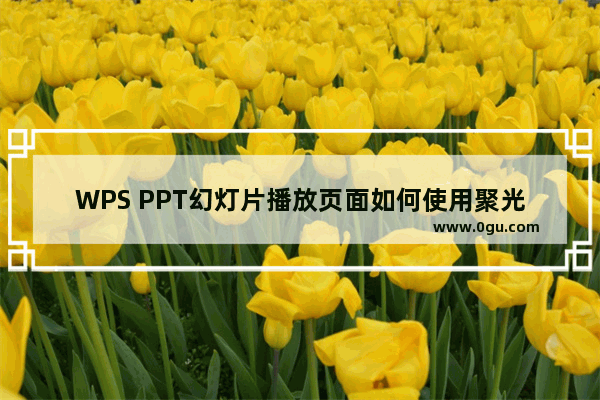 WPS PPT幻灯片播放页面如何使用聚光灯效果 WPS PPT幻灯片播放页面使用聚光灯效果的方法