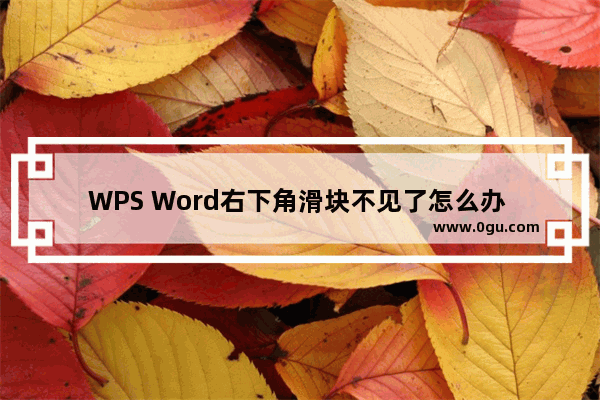 WPS Word右下角滑块不见了怎么办 WPS Word页面底部缩放滑块消失的解决办法