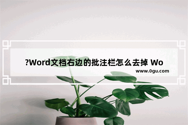 ?Word文档右边的批注栏怎么去掉 Word文档去掉右侧批注栏的方法教程