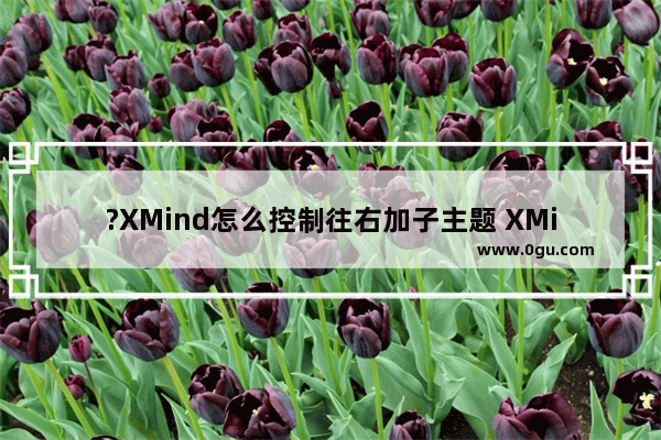 ?XMind怎么控制往右加子主题 XMind电脑版控制往右加子主题的方法教程