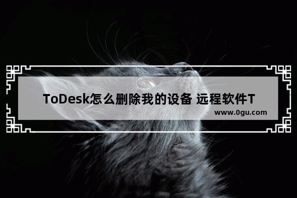 ToDesk怎么删除我的设备 远程软件ToDesk怎么删除设备