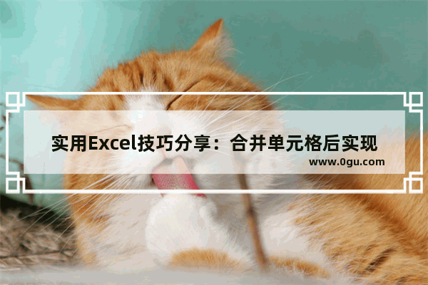 实用Excel技巧分享：合并单元格后实现筛选功能 