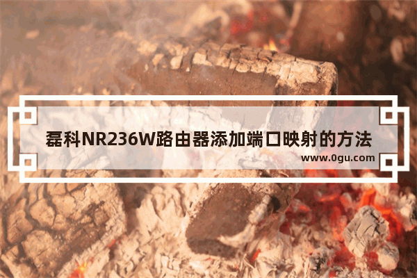 磊科NR236W路由器添加端口映射的方法