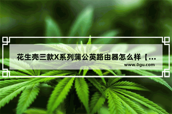 花生壳三款X系列蒲公英路由器怎么样【详解】