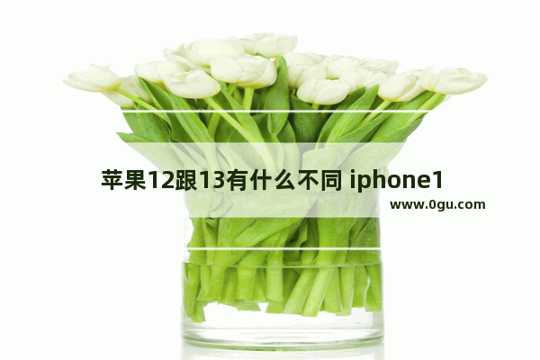 苹果12跟13有什么不同 iphone12与13系列的区别