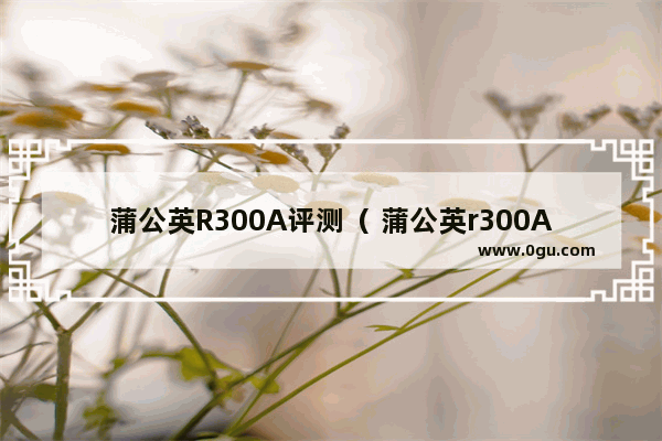 蒲公英R300A评测（ 蒲公英r300A怎么用）