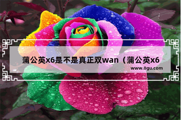 蒲公英x6是不是真正双wan（蒲公英x6不能远程管理）