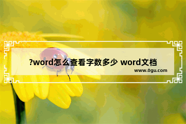 ?word怎么查看字数多少 word文档查看字数多少的方法教程