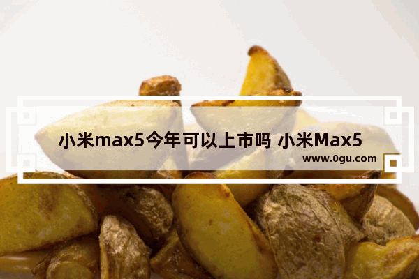 小米max5今年可以上市吗 小米Max5二次发售详情