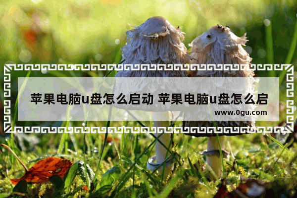 苹果电脑u盘怎么启动 苹果电脑u盘怎么启动软件