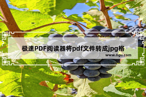 极速PDF阅读器将pdf文件转成jpg格式的方法