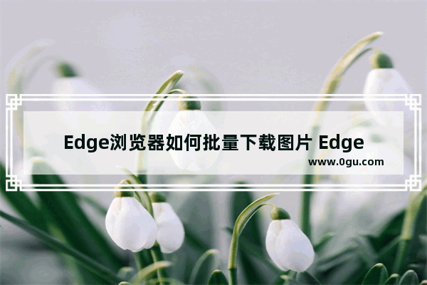 Edge浏览器如何批量下载图片 Edge浏览器批量下载高清图片的方法