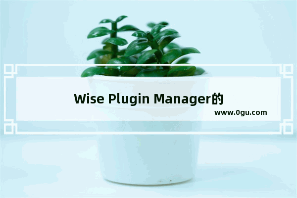 Wise Plugin Manager的使用方法 Wise Plugin Manager怎么使用