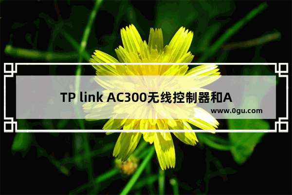 TP link AC300无线控制器和AP设置操作方法