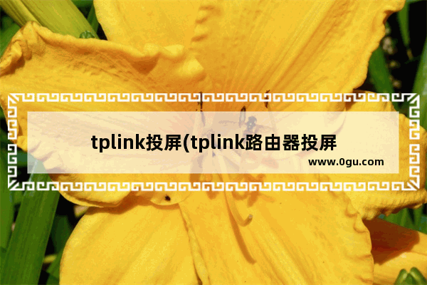 tplink投屏(tplink路由器投屏)