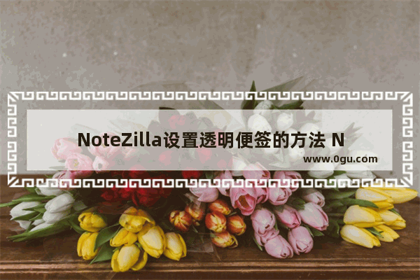 NoteZilla设置透明便签的方法 NoteZilla怎么设置透明便签