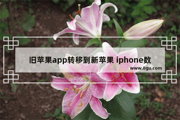 旧苹果app转移到新苹果 iphone数据迁移到新iphone上步骤