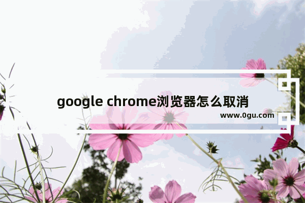 google chrome浏览器怎么取消窗口拦截功能【图文教程】