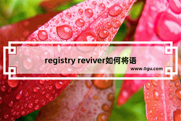 registry reviver如何将语言设置为简体中文 registry reviver将语言设置为简体中文的方法