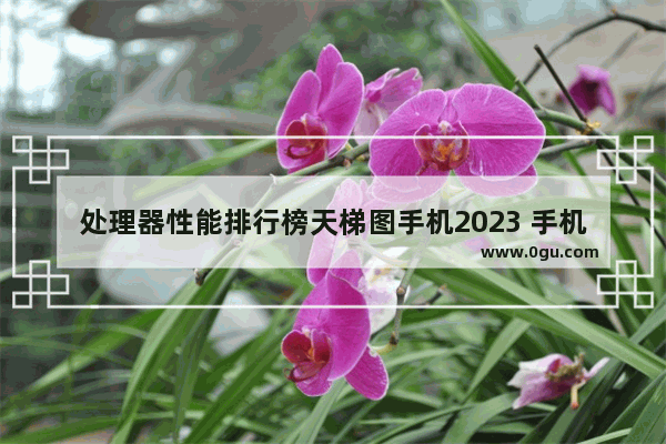 处理器性能排行榜天梯图手机2023 手机处理器排行最新天梯图