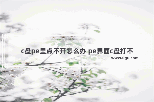 c盘pe里点不开怎么办 pe界面c盘打不开