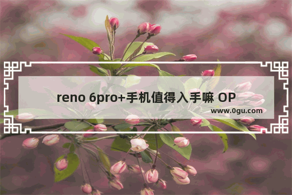 reno 6pro+手机值得入手嘛 OPPO Reno6 Pro+全面评测