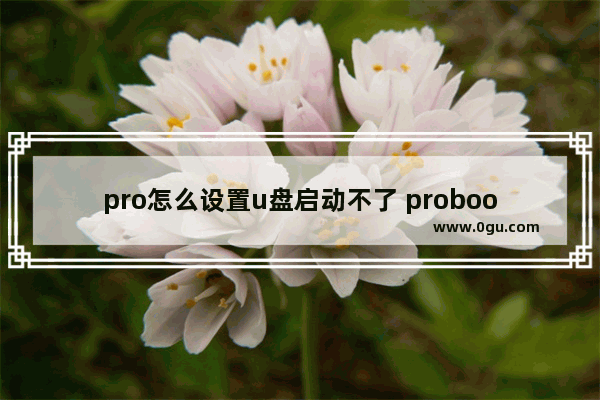 pro怎么设置u盘启动不了 probook怎么设置u盘启动