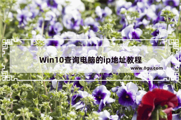 Win10查询电脑的ip地址教程