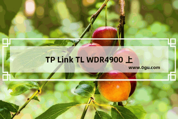 TP Link TL WDR4900 上网控制管控网络权限