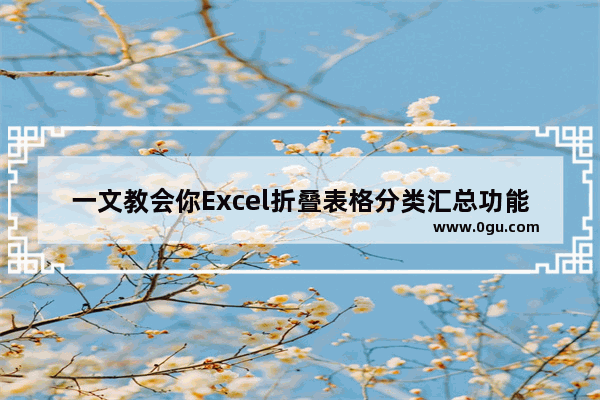 一文教会你Excel折叠表格分类汇总功能 