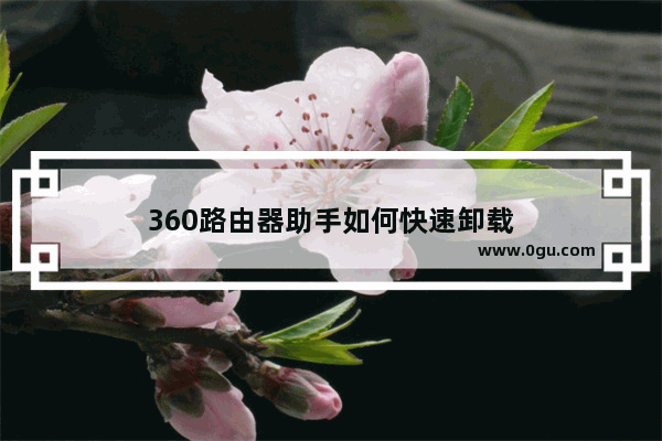 360路由器助手如何快速卸载