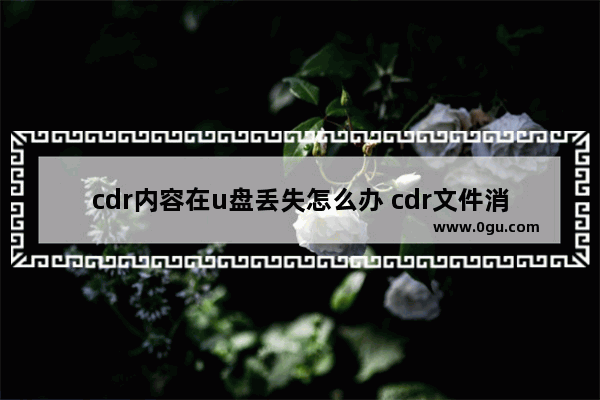 cdr内容在u盘丢失怎么办 cdr文件消失了