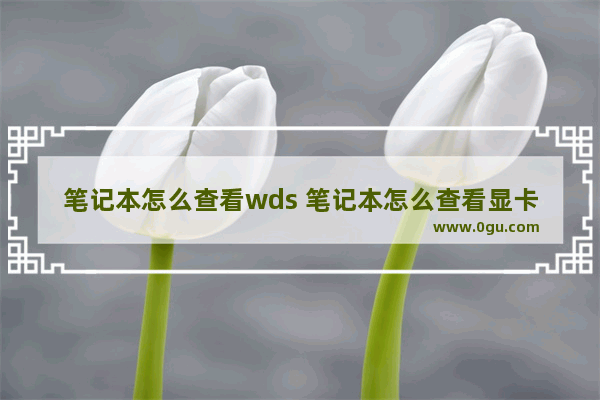 笔记本怎么查看wds 笔记本怎么查看显卡